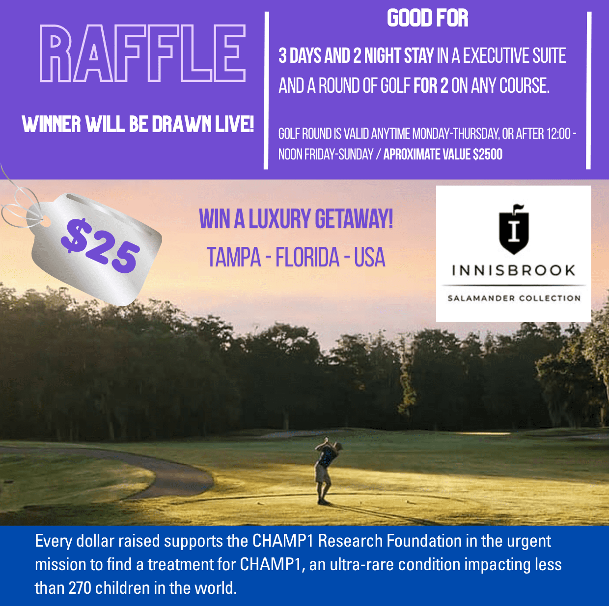 Raffle Ticket: Luxury Innisbrook Resort Getaway & Golf Package