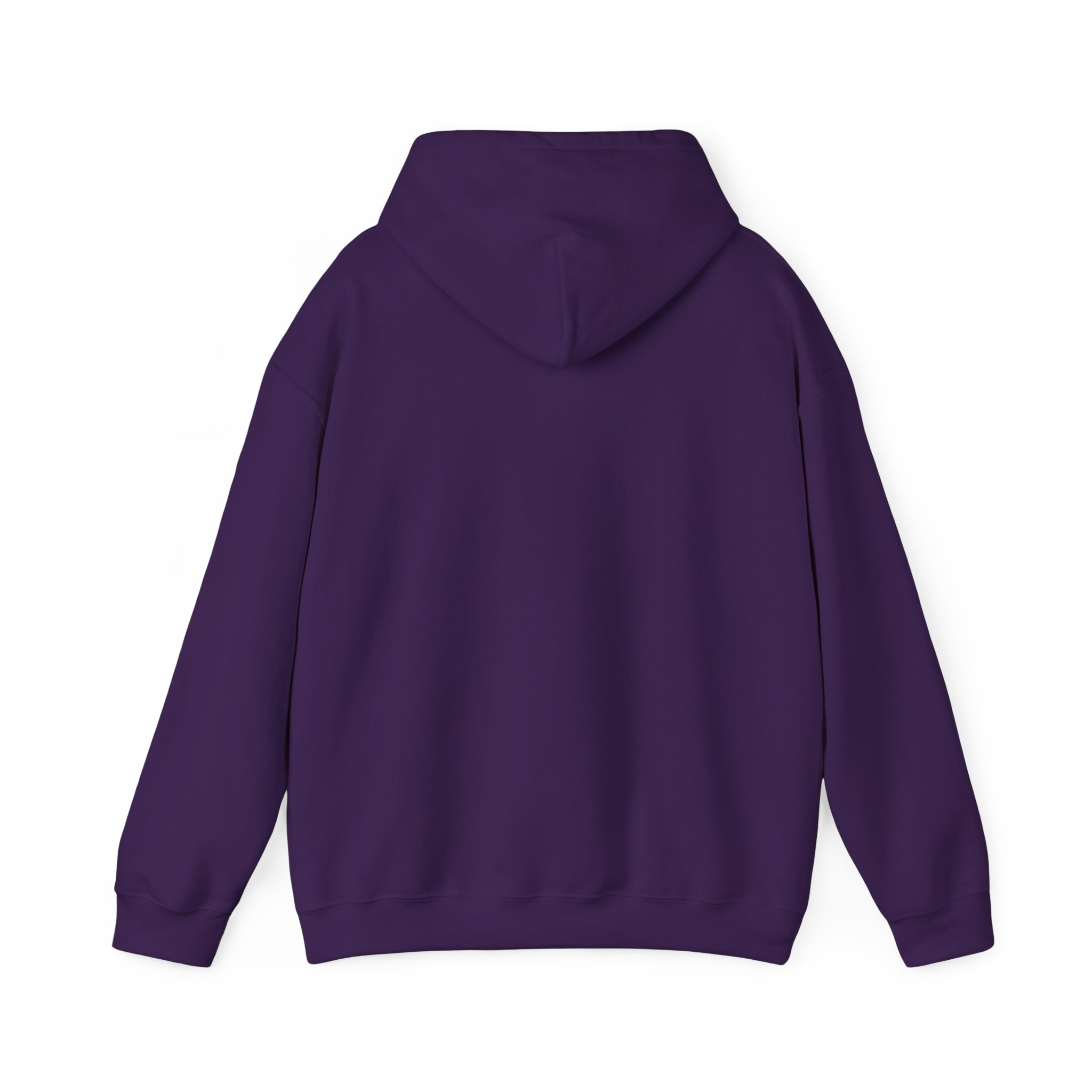 CHAMP1 Foundation Unisex Heavy Blend™ Hooded Sweatshirt - Image 2