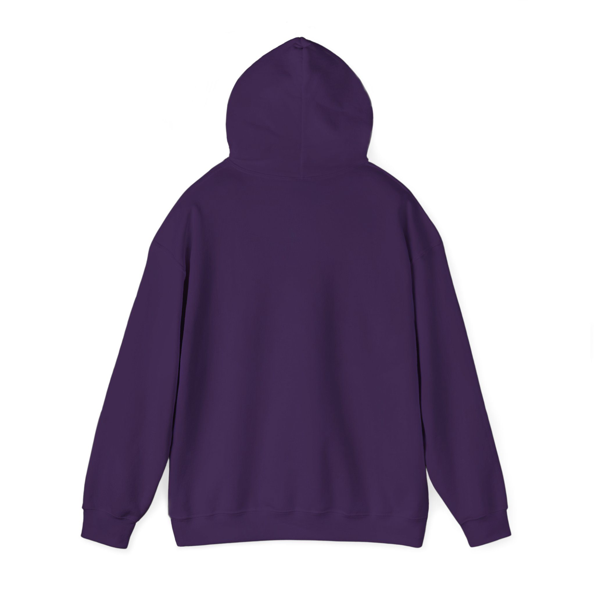 CHAMP1 Foundation Unisex Heavy Blend™ Hooded Sweatshirt - Image 3